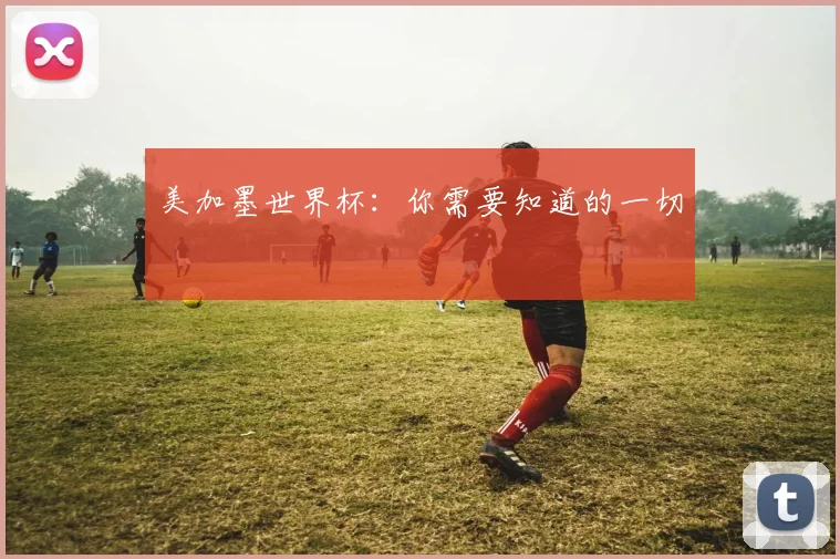 美加墨世界杯：你需要知道的一切